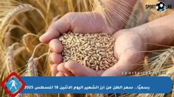 رسميًا.. سعر الطن من أرز الشعير اليوم الاثنين 18 أغسطس 2025